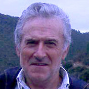 Ivo Gomes Francisco